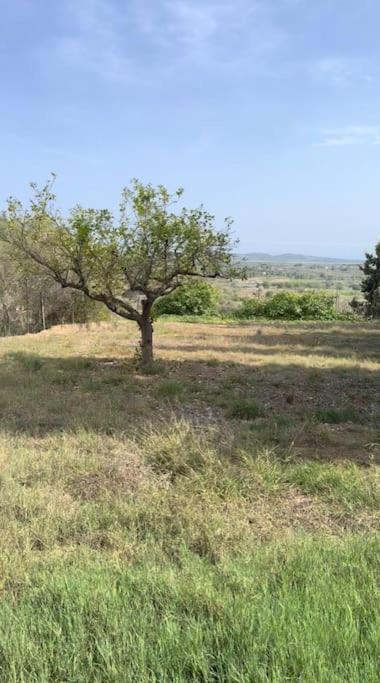 Beautiful With Huge Private Pool And Vineyard View * Valenza